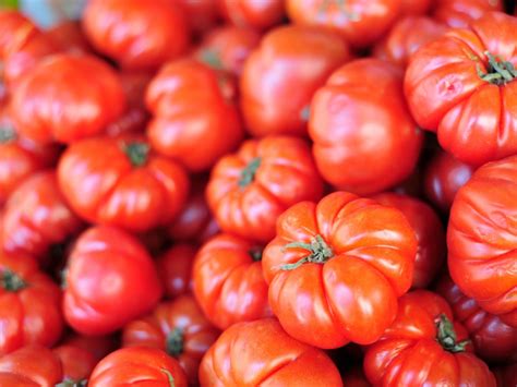 How Long Does It Take Beefsteak Tomato Seeds To Germinate?