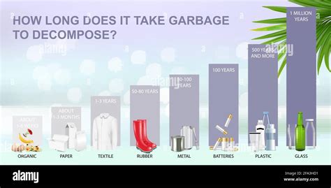 How Long Does It Take Garbage to