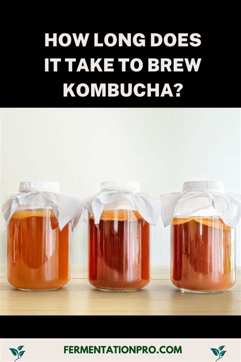 How Long Does It Take To Brew Kombucha? - fermentationpro.com