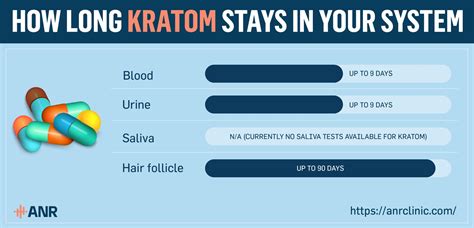 How Long Does Kratom Stay In Your System? Drug Tests & Detox