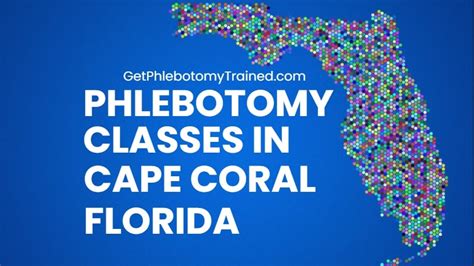 How Long Does Phlebotomy Training Take Cape Coral FL