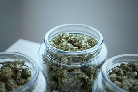 How Long Does Weed Stay Good? 7 Tips for How to Store Weed