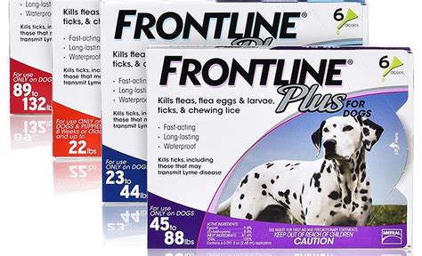 How Long Does it Take Frontline Plus To Work?