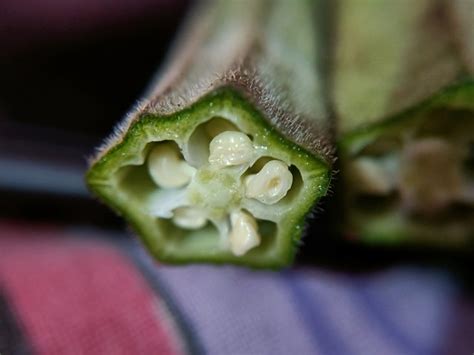 How Long to Soak Okra Seeds eHow