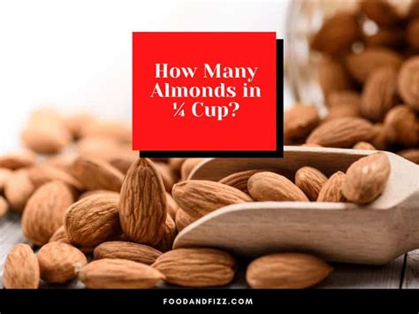 How Many Almonds In ¼ Cup? 6 Best Ways To Tell