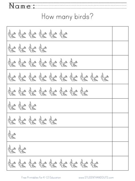 How Many Birds Counting Worksheet PDF