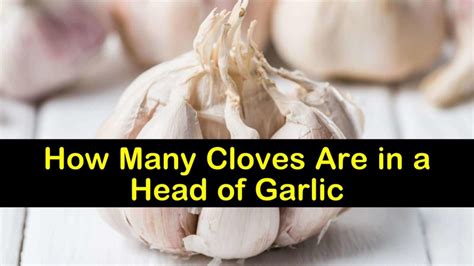 How Many Cloves are in a Head of Garlic - Tips Bulletin