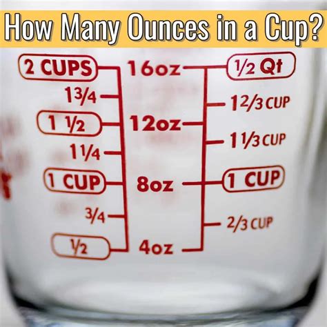 How Many Cups Is Four Ounces? - 2024