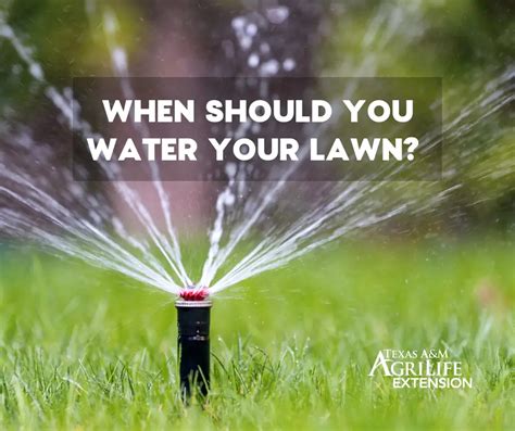 How Many Days Should I Water My Lawn - LoveMyLawn.net