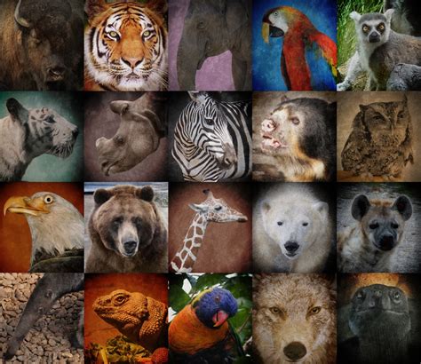 How Many Endangered Species Are There? Earth.Org