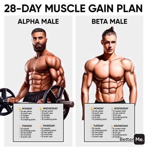 How Many Exercises Per Muscle Group For Mass Exercise Poster