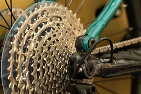 How Many Gears can a Mountain Bike Have? - Ten Speed Bike