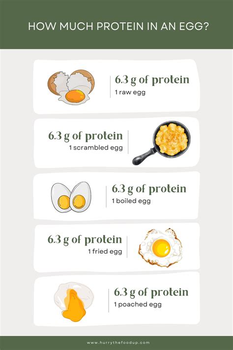 How Many Grams Of Protein In An Egg Cracking the Code