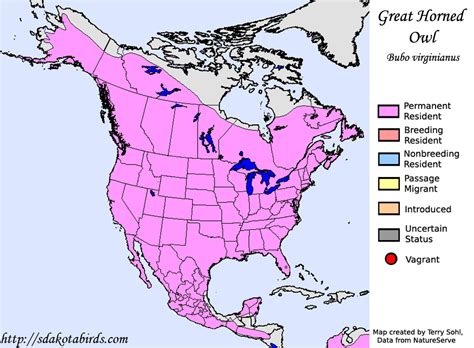 How Many Miles Is The Territory Range Of A Great Horned Owl?