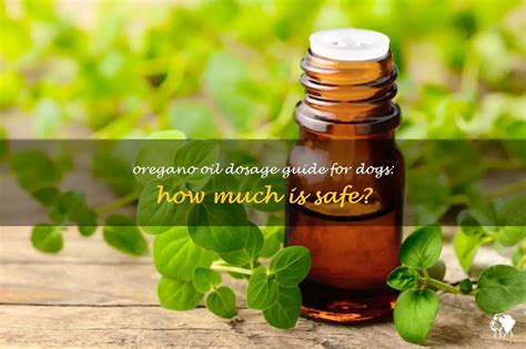 How Many Milligrams Of Oil Of Oregano Can I Give My Dog?