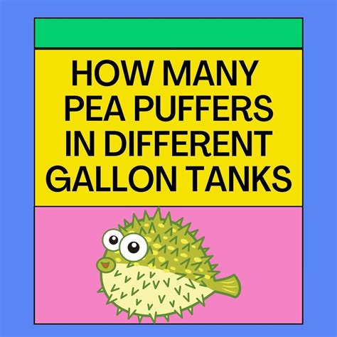 How Many Pea Puffers in a 40 Gallon Tank? - AG