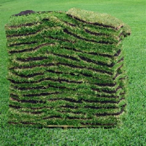 How Many Pieces of Sod on a Pallet of Grass? - Houston …