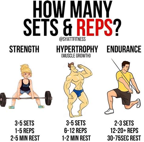 How Many Sets For Each Exercise Do You Need To Build Muscle