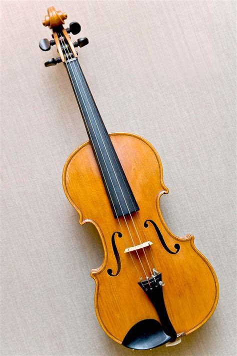 How Many Strings Does A Violin Have? Top Quizzes Online