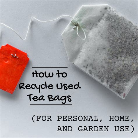 How Many Times Can I Reuse A Tea Bag? - The Tea Detective