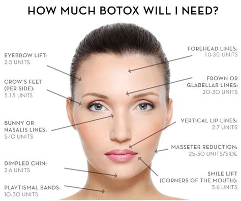 How Many Units Of Botox For Between The Eyebrows EyebrowShaper