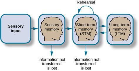 How Memory Functions – Introduction to Psychology