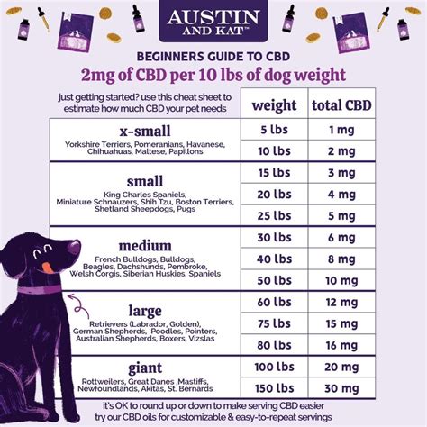 How Much Cbd Oil For Dogs