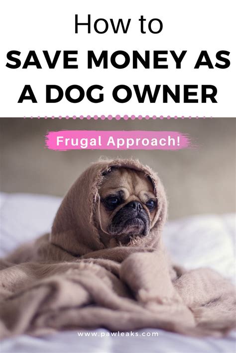 How Much Do Dogs Cost? What They’re Not Telling You