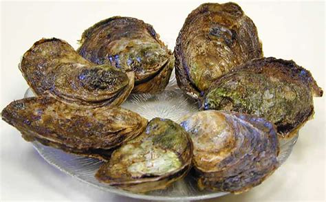 How Much Do Oysters Weigh? TopslSeaFood.com