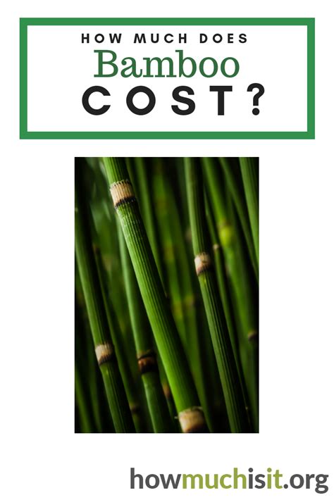 How Much Does Bamboo Cost Per Pound - WHYIENJOY