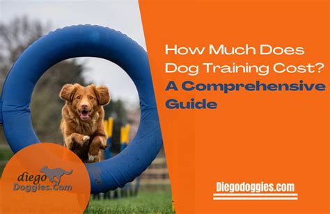 How Much Does Dog Training Cost? (2024) - Spend On Pet