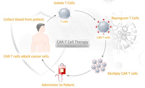 How Much Does Immunotherapy Cost In South Africa