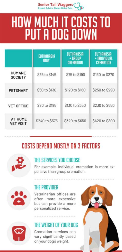 How Much Does It Cost to Put a Dog Down? - Bestie …