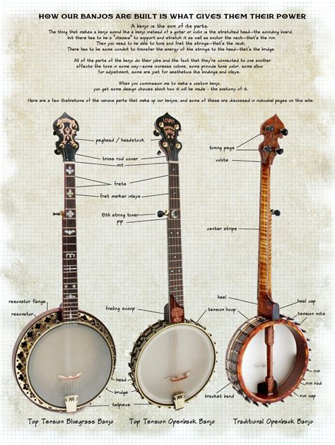 How Much Does a Banjo Head Affect the Sound of a Banjo?