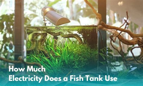 How Much Electricity Does A Fish Tank Use? Tips For Calculating …