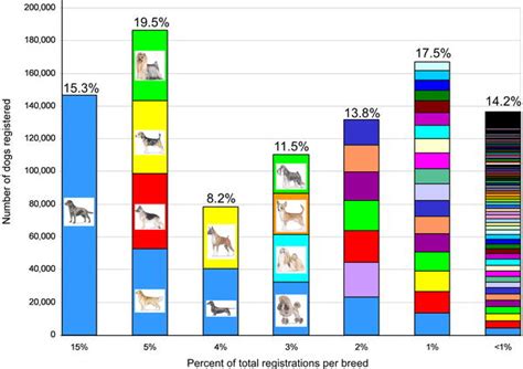 How Much Is That in Dog Years? The Advent of Canine Population Genomics | PLOS Genetics