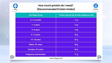 How Much Protein Do I Need How to Calculate Ideal Intake