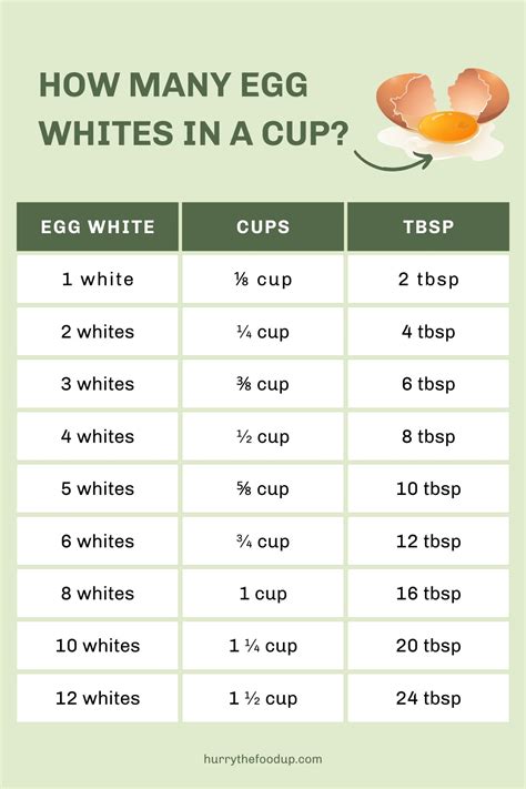 How Much Protein In 4 Egg Whites Teesnature