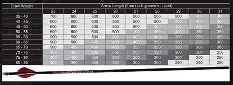 How Much Should My Arrow Weigh? [Answered]