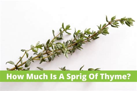 How Much Thyme in a Sprig? - Grow Veggy