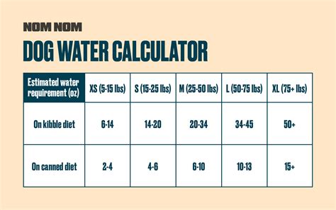 How Much Water Should a Dog Drink? PetMD