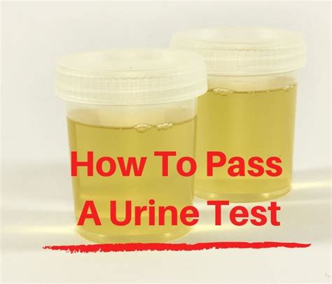 How Much Water To Pass A Urine Drug Test