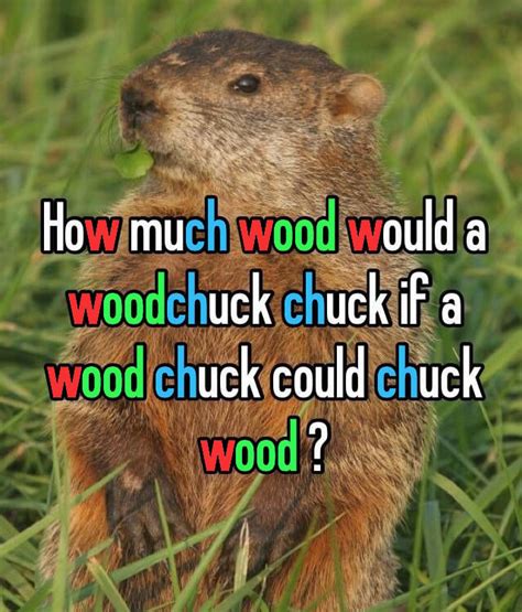 How Much Wood Could a Woodchuck Chuck: Unlocking the Enigma