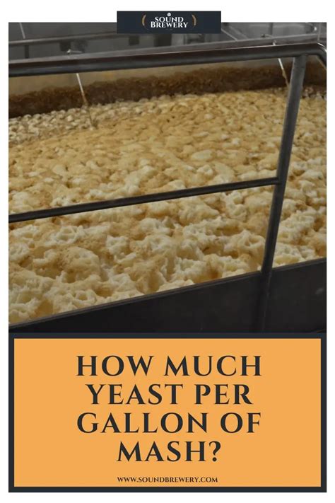 How Much Yeast For 5 Gallons Of Mash - Statemediainfo.me