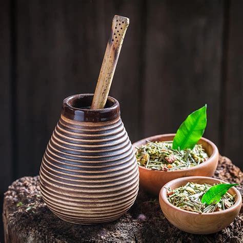 How Much Yerba Mate Should You Drink Per Day? - Fitness-Spell