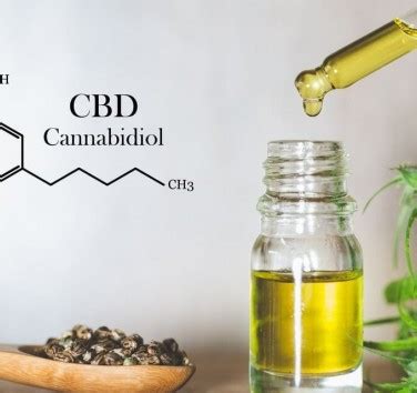 How Much to Consume With CBD Oil? 321CBD