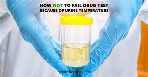 How NOT to Fail Drug Test Because Of Urine Temperature Ultimate Guide