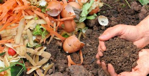 How Portland Maine’s Compost Drop Offs Are Working