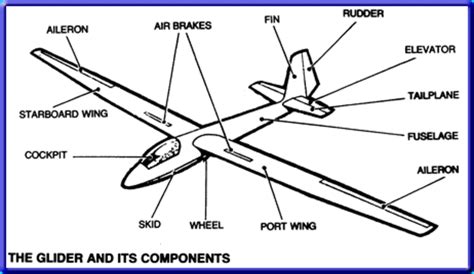 How Propulsion Shapes Sailplane Design