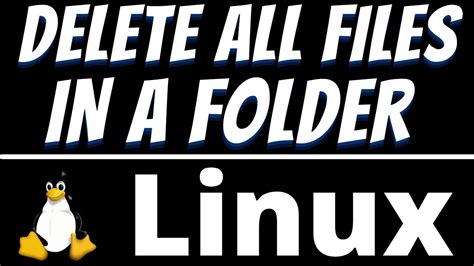 How Remove All Files in a Directory Linux? - yujia.dixiesewing.com